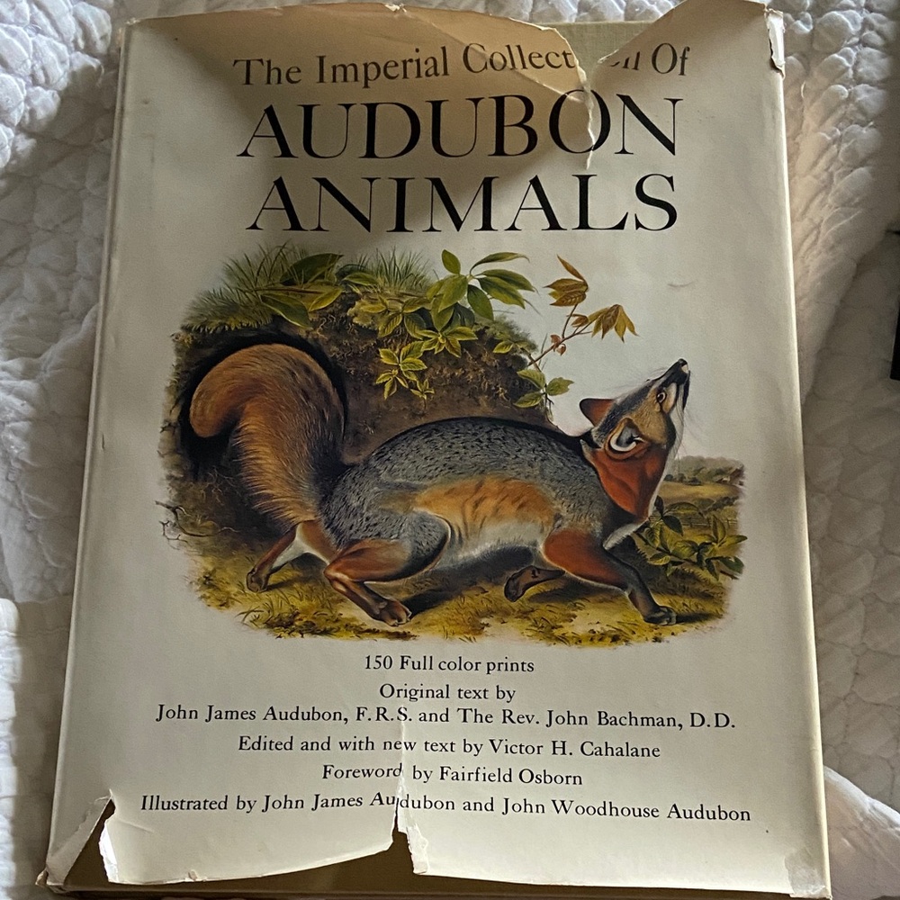 Vintage 60s Animal Audubon Animals Hardcover coffee table Book fox illustrated